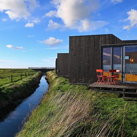 Tiny House Nature 9 Zur Kuhweide - Green Tiny Village Harlesiel 카롤리넨시엘 외부 사진