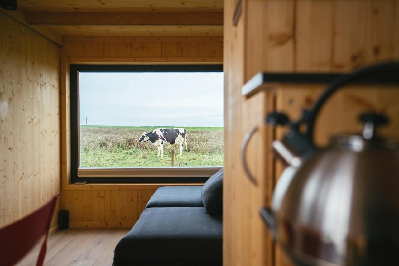 Tiny House Nature 9 Zur Kuhweide - Green Tiny Village Harlesiel 카롤리넨시엘 외부 사진